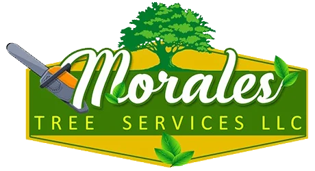 Morales-Tree-Logo